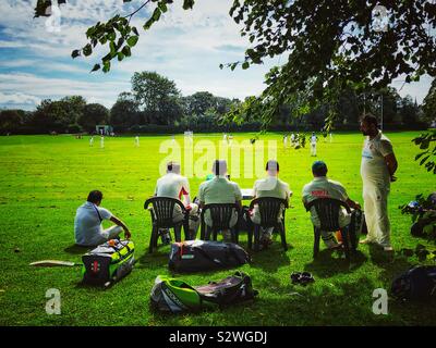 Cricket im park Stockfoto