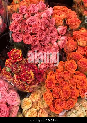 Viele Blumensträuße von frischen rosa, gelbe und rote Rosen. Stockfoto