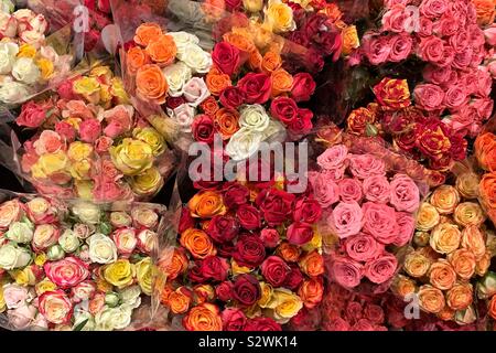 Viele Blumensträuße von frischen rosa, gelbe und rote Rosen. Stockfoto