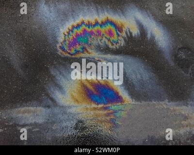 Öl auf Asphalt und Wasser Stockfoto