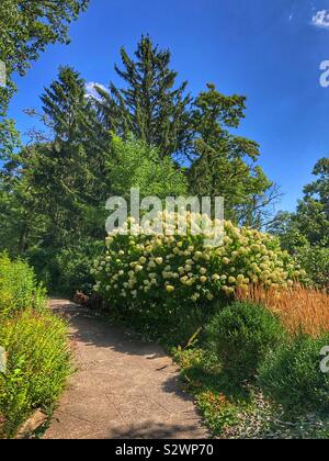 Ein Pfad führt durch einen wunderschönen Garten in High Park, Toronto, Kanada. Stockfoto