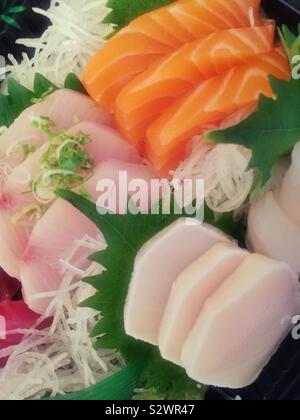Sashimi Abendessen in einer Plastikbox geliefert Stockfoto
