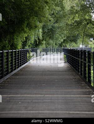 Boardwalk Pfad durch den Wald Stockfoto