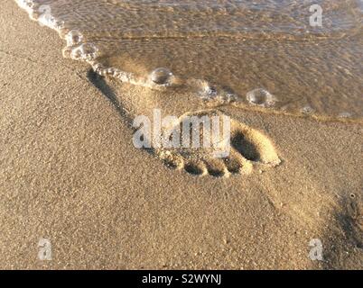 Einzelne menschliche Präsenz auf Sandstrand Stockfoto