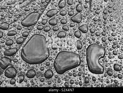 Globuli von Wasser auf einer glänzenden Oberfläche nach einem heftigen Regenschauer Stockfoto