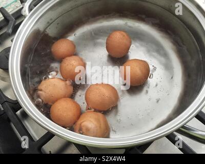 Acht braun gefärbte Eier in Wasser in einer Waagschale aus Edelstahl Stockfoto