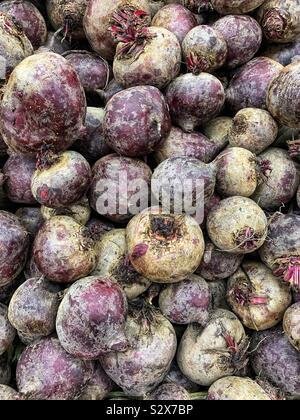 Frische reife Rüben, Tisch, Garten Zuckerrüben Zuckerrüben, Zuckerrohr, rote Rüben, Abendessen Zuckerrüben. Stockfoto