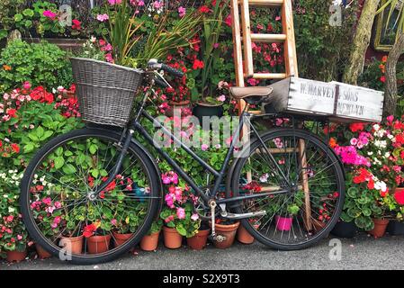 Fahrrad mit Korb und Holzkisten auf der Rückseite außerhalb eines Hauses mit Topfpflanzen Beetpflanzen Stockfoto