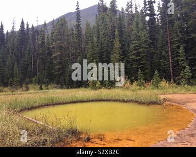 Farbtöpfe natürlichen Ocker Farbe mineralquellen in Kootenay National Park, British Columbia, Kanada. Stockfoto