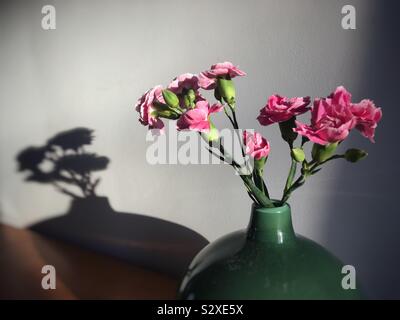 Rosa Nelken in einer grünen Glasvase Stockfoto