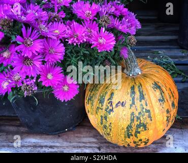 Herbst Kürbis und Mamas Stockfoto