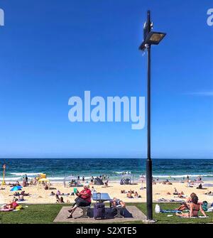 Australischen Strand selfie Lustig erfassen Stockfoto