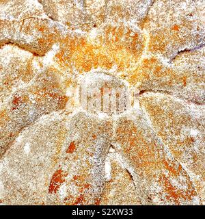 Pan de Muerto (spanisch für "Brot der Toten"), auch Pan de los Muertos in Mexiko Stockfoto