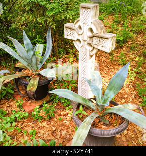 Ein Garten im Hinterhof mit Behältern mit Aloe-Vera-Pflanzen und einer Zementstatue des keltischen Kreuzes in der Mitte der Topfpflanzen. Stockfoto