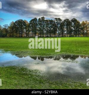 Große Pfütze im Park Stockfoto