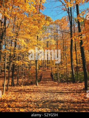 Brillante Farben des Herbstes und Blätter am 16 Mile Creek Heritage Trail System in Oakville Ontario Kanada Oktober 2019. Stockfoto