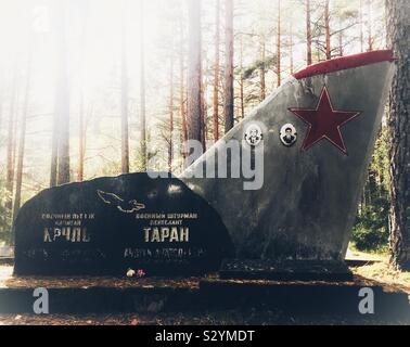 Amari Piloten Friedhof, ein gruseliges Sowjetischen Soldatenfriedhof in Estland mit Flugzeugen Schwanzflosse als ernste Markierungen Stockfoto