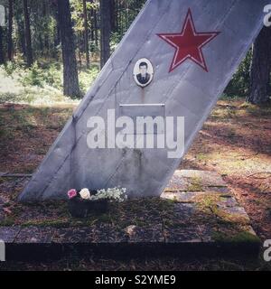 Amari Piloten Friedhof, ein gruseliges Sowjetischen Soldatenfriedhof in Estland mit Flugzeugen Schwanzflosse als ernste Markierungen Stockfoto