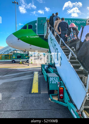 Einleitung eine Aer Lingus Airbus A 320-214 mit Irish Rugby Team Lackierung am Flughafen von Dublin Stockfoto