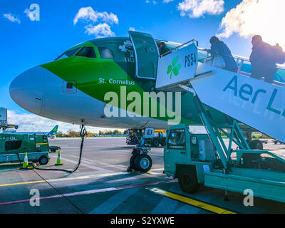 Einleitung eine Aer Lingus Airbus A 320-214 mit Irish Rugby Team Lackierung am Flughafen von Dublin Stockfoto