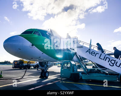 Einleitung eine Aer Lingus Airbus A 320-214 mit Irish Rugby Team Lackierung am Flughafen von Dublin Stockfoto