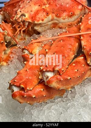 Frische Alaskan king crab auf Eis und bereit zu essen Stockfoto