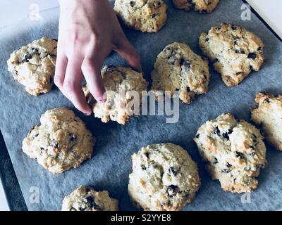 Die Hand des Kindes, die einen frisch gebackenen Kuchen aus dem Fach Stockfoto