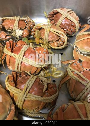 Behaarte krabben gebunden und gekocht Stockfoto