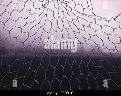 Foggy morning on the football field Stockfoto