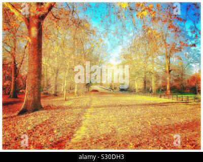 Herbst im faulen Zeile, Hyde Park, London. Stockfoto