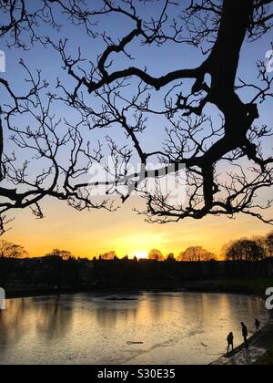 Gefrorenen Teich im Park bei Sonnenuntergang Stockfoto