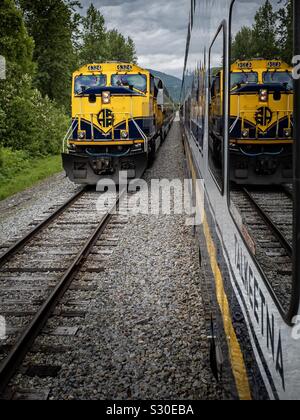 Zwei Züge auf der Alaska Railroad Stockfoto