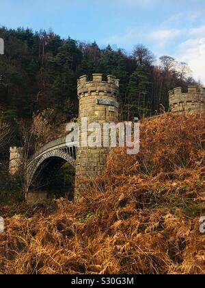 Die türmchen von Craigellachie Brücke. Eine gusseiserne Bogen Brücke über den River Spey von Thomas Telford 1814 gebaut. In der Nähe von Aberlour, Moray, Schottland. Stockfoto