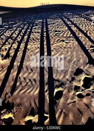 Freunde, lange Schatten auf dem Sand an der Kagawa Dünen Stockfoto