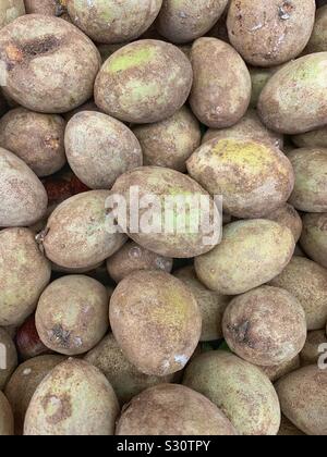 Quararibea cordata, Südamerikanische sapote, chupa-chupa Reif raw leckeres Obst Stockfoto