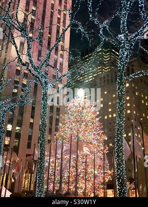 Der riesige, kultige Weihnachtsbaum im Rockefeller Center befindet sich am Fuß von 30 Felsen auf der plaza und ist umgeben von Weihnachtslichtern an Bäumen, NYC, USA Stockfoto