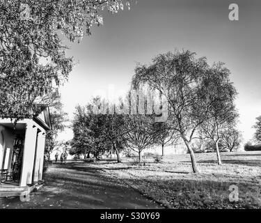 Ein Spaziergang im Park im Herbst Sonne. Stockfoto