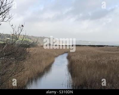 Blick von slapton Brücke - slapton Ley - Nature Reserve, South Hams, Devon, England, Großbritannien Stockfoto