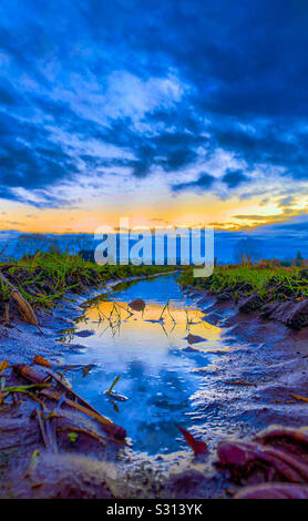 Dramatische und bunten Sonnenuntergang bzw. Sonnenaufgang Himmel im Wasser einer Pfütze in einem farmfield wider Stockfoto