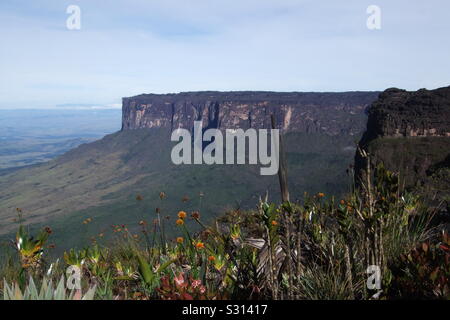 Mount Roraima tepui Plateau, einem Berg, Venezuela, Südamerika, die Inspiration für Sir Arthur Conan Doyle Buch Die Verlorene Welt Stockfoto