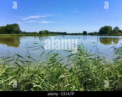 Blick über typische künstlichen See im Naturpark Brenne, Indre, Frankreich. Stockfoto