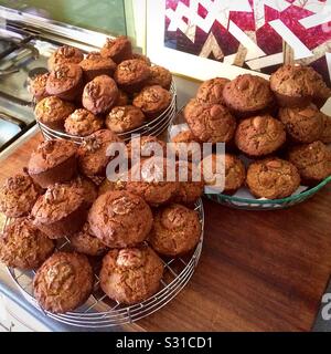 Vier Dutzend frisch gebackene Glutenfreie Muffins auf der Küchenarbeitsplatte. Stockfoto
