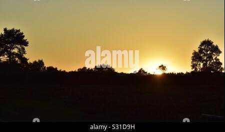 Sonnenuntergang über ashdown Forest Stockfoto