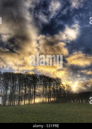 Dramatischer Himmel mit Bäumen Stockfoto