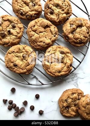 Schokoladenchip-Plätzchen auf einem Drahtkühlgestell Stockfoto