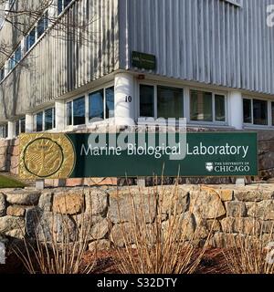 Marine Biological Laboratory, Woods Hole, Falmouth, Cape Cod, Massachusetts, Vereinigte Staaten Stockfoto