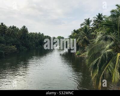 Langes Kanalwasser vom Affen fällt zum Aliyar-Staudamm für Bewässerungszwecke, Brückenblick du es ist weit, aber sieht voller Wasser im Kanal aus, der mit Kokosbäumen auf beiden Seiten bedeckt ist, Tamilnadu Stockfoto