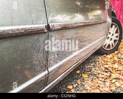 Langfristiges Parken - Spinnennetz und Blattreflexionen an der Seite eines Autos auf Herbstfoto Stockfoto