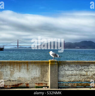 Möwe thront auf der verfallenen Mauer eines Piers mit der Golden Gate Bridge in der Ferne Stockfoto