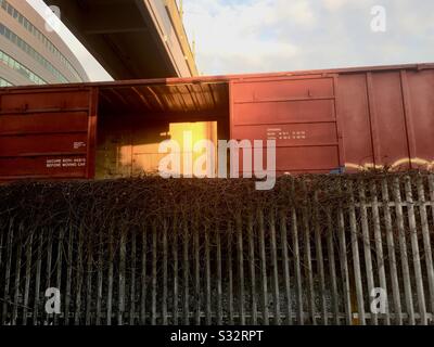 Leerer Boxwagen eines Güterzugs hinter einem Zaun unter einer Zementbrücke, die die Sonne in Emeryville, Kalifornien reflektiert. Stockfoto